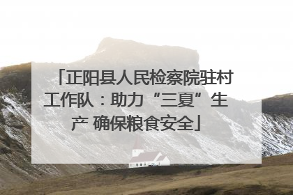 正阳县人民检察院驻村工作队：助力“三夏”生产 确保粮食安全