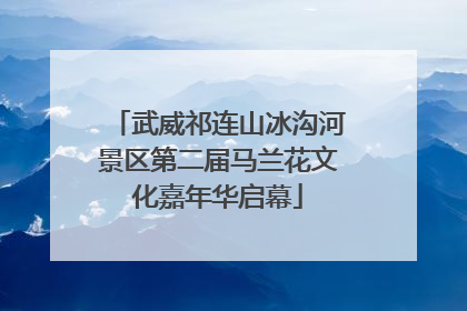 武威祁连山冰沟河景区第二届马兰花文化嘉年华启幕