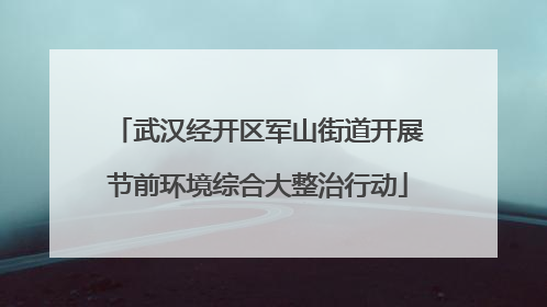 武汉经开区军山街道开展节前环境综合大整治行动