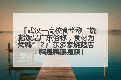 武汉一高校食堂称“烧鹅饭是广东俗称，食材为烤鸭”？广东多家烧鹅店：鸭是鸭鹅是鹅