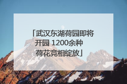 武汉东湖荷园即将开园 1200余种荷花竞相绽放