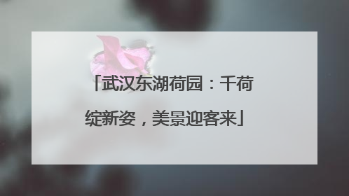 武汉东湖荷园：千荷绽新姿，美景迎客来