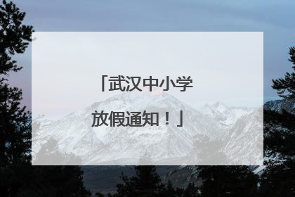 武汉中小学放假通知！