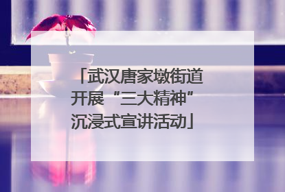 武汉唐家墩街道开展“三大精神”沉浸式宣讲活动