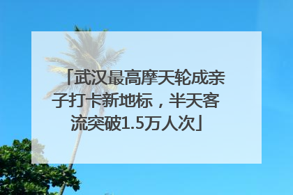 武汉最高摩天轮成亲子打卡新地标，半天客流突破1.5万人次