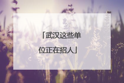 武汉这些单位正在招人