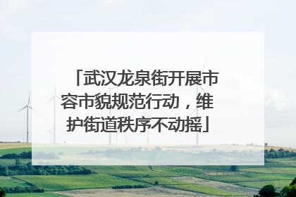 武汉龙泉街开展市容市貌规范行动，维护街道秩序不动摇