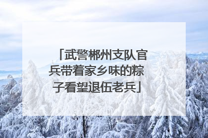武警郴州支队官兵带着家乡味的粽子看望退伍老兵