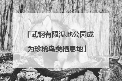 武钢有限湿地公园成为珍稀鸟类栖息地