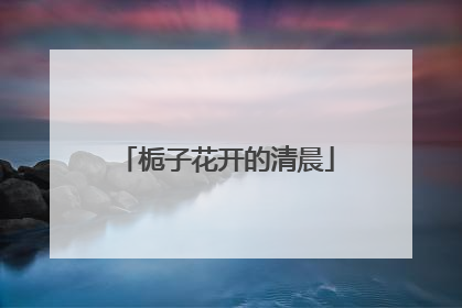 栀子花开的清晨