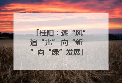 桂阳：逐“风”追“光” 向“新”向“绿”发展