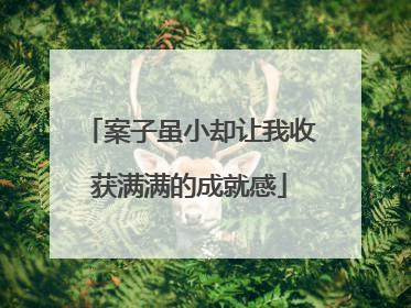 案子虽小却让我收获满满的成就感