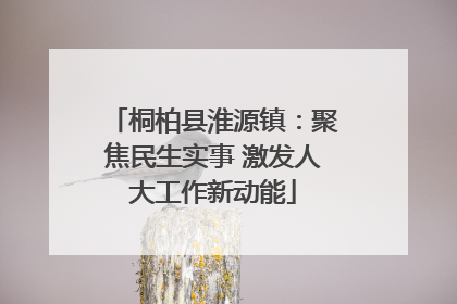 桐柏县淮源镇：聚焦民生实事 激发人大工作新动能
