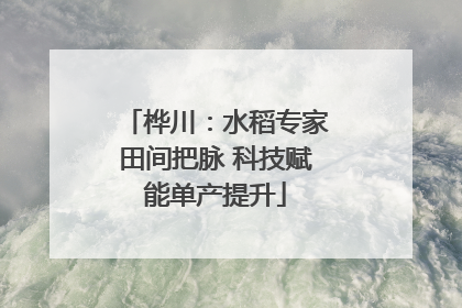 桦川：水稻专家田间把脉 科技赋能单产提升