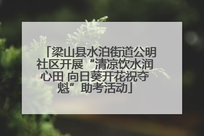 梁山县水泊街道公明社区开展“清凉饮水润心田 向日葵开花祝夺魁”助考活动