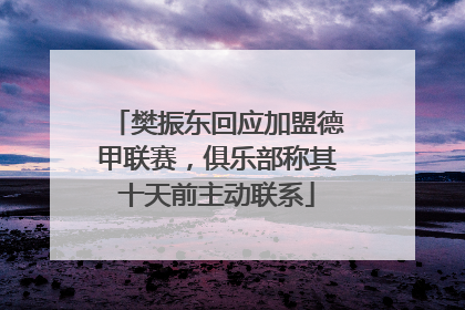樊振东回应加盟德甲联赛，俱乐部称其十天前主动联系