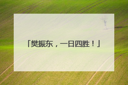 樊振东，一日四胜！