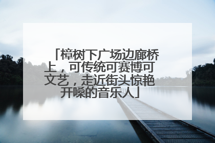 樟树下广场边廊桥上，可传统可赛博可文艺，走近街头惊艳开嗓的音乐人