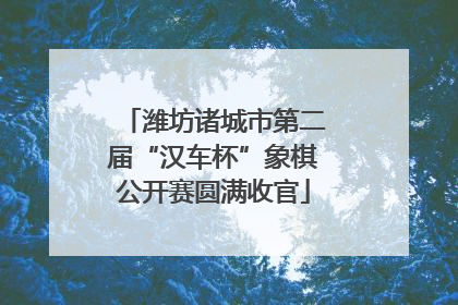潍坊诸城市第二届“汉车杯”象棋公开赛圆满收官