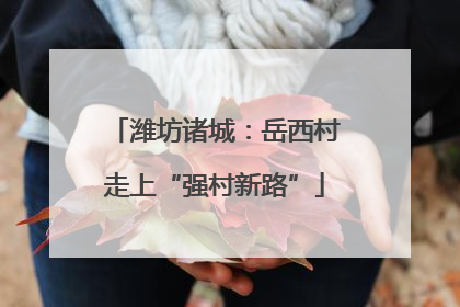 潍坊诸城：岳西村走上“强村新路”