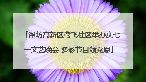 潍坊高新区鸢飞社区举办庆七一文艺晚会 多彩节目颂党恩