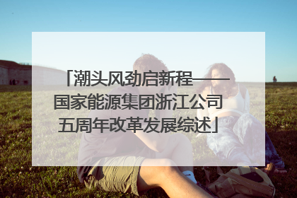 潮头风劲启新程——国家能源集团浙江公司五周年改革发展综述