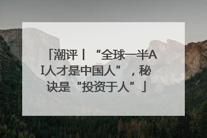 潮评丨“全球一半AI人才是中国人”，秘诀是“投资于人”