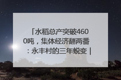 水稻总产突破4600吨，集体经济翻两番：永丰村的三年蜕变｜您牵挂的四川