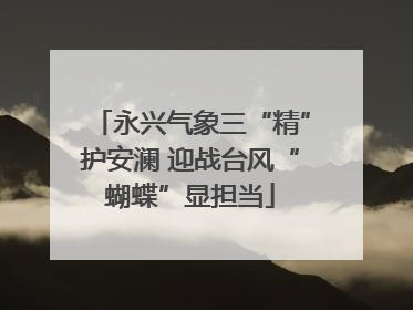 永兴气象三“精”护安澜 迎战台风“蝴蝶”显担当