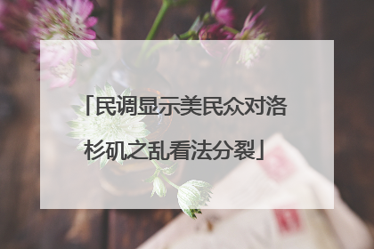 民调显示美民众对洛杉矶之乱看法分裂