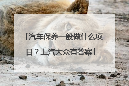 汽车保养一般做什么项目？上汽大众有答案