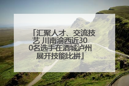 汇聚人才、交流技艺 川南渝西近300名选手在酒城泸州展开技能比拼