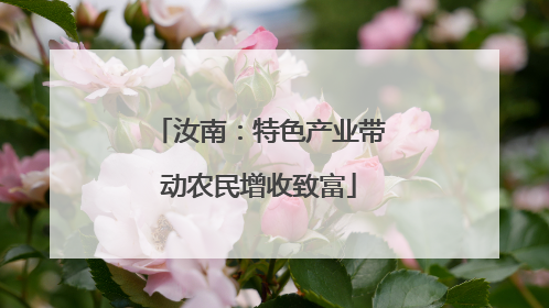 汝南：特色产业带动农民增收致富