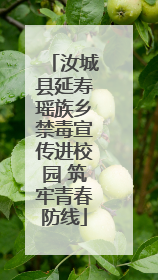汝城县延寿瑶族乡禁毒宣传进校园 筑牢青春防线