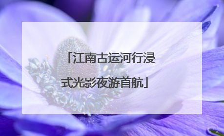 江南古运河行浸式光影夜游首航