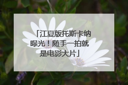 江夏版托斯卡纳曝光！随手一拍就是电影大片