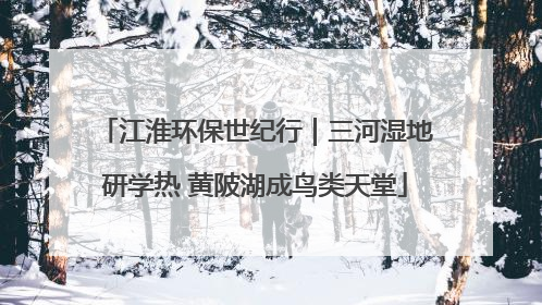 江淮环保世纪行｜三河湿地研学热 黄陂湖成鸟类天堂