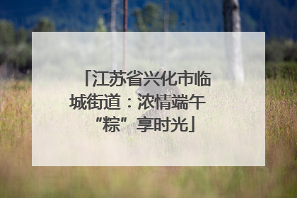 江苏省兴化市临城街道：浓情端午 “粽”享时光