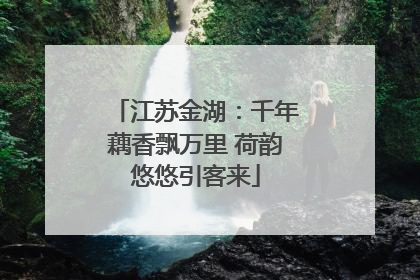 江苏金湖：千年藕香飘万里 荷韵悠悠引客来