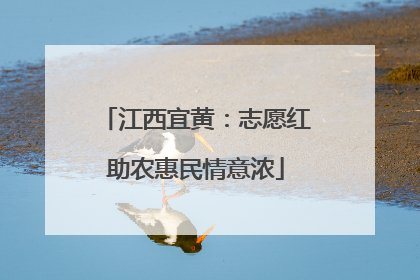 江西宜黄：志愿红助农惠民情意浓