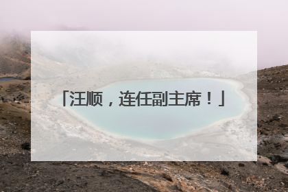 汪顺，连任副主席！