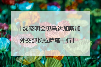 沈晓明会见马达加斯加外交部长拉萨塔一行