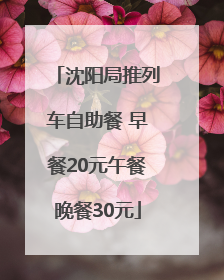 沈阳局推列车自助餐 早餐20元午餐晚餐30元