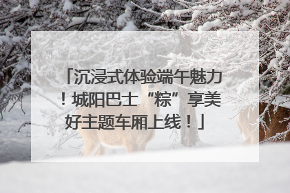沉浸式体验端午魅力！城阳巴士“粽”享美好主题车厢上线！