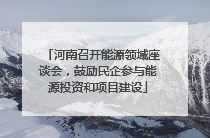 河南召开能源领域座谈会，鼓励民企参与能源投资和项目建设