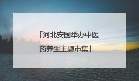 河北安国举办中医药养生主题市集
