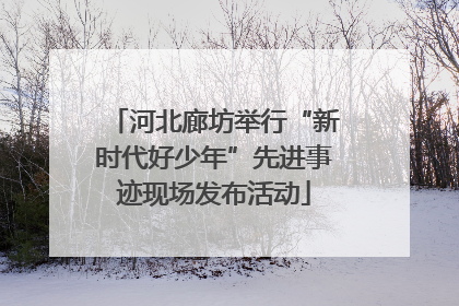 河北廊坊举行“新时代好少年”先进事迹现场发布活动
