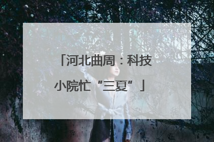 河北曲周：科技小院忙“三夏”