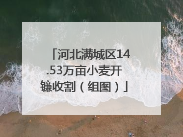 河北满城区14.53万亩小麦开镰收割（组图）