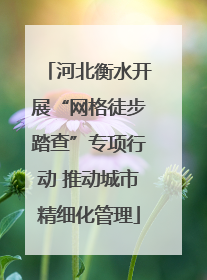 河北衡水开展“网格徒步踏查”专项行动 推动城市精细化管理